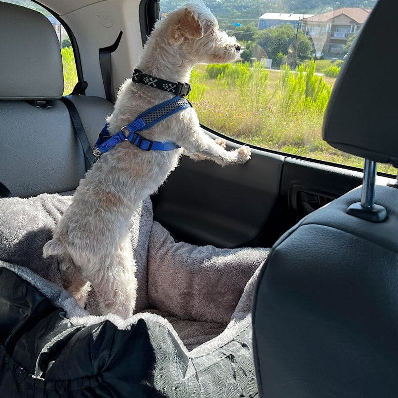 Washable Dog Car Seat For Small Dogs